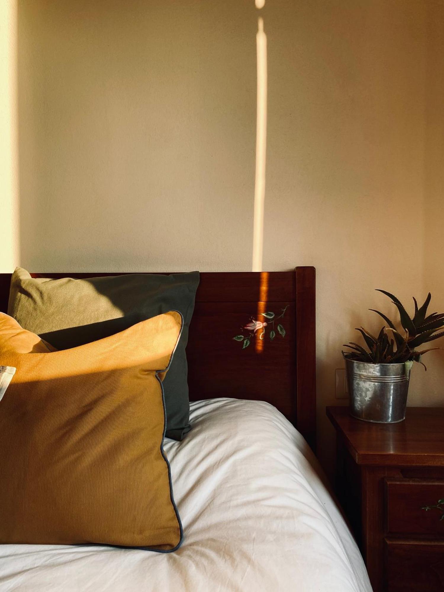 Bed and Breakfast La Siba Experience Forlì Esterno foto